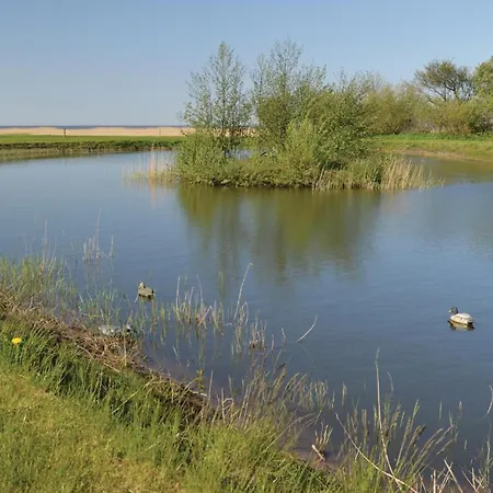 Beautiful In Skjern With Indoor Swimming Pool Holiday home Lem (Midtjylland)